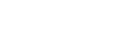 Gi Group Holding